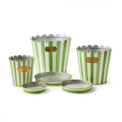 Courtly Stripe Pots & Saucers, Set of 3