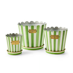 Grass Green Stripe Pots & Saucers, Set of 3